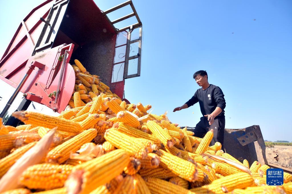 太阳集团登录网址